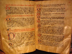 LAS  ORDENANZAS MUNICIPALES  DE ZALAMEA DE 1535
